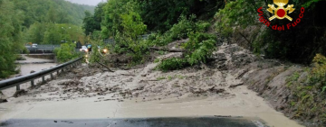 Alluvioni e frane in Romagna: alcune riflessioni su gestione forestale e idrologia