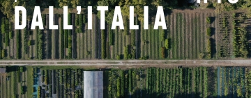 Pillole forestali dall’Italia #19 - Alla ricerca di aree per piantare e altre notizie di maggio
