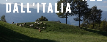 Pillole forestali dall’Italia #22 - Scelte di governance e altre notizie di luglio