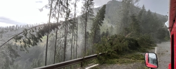 Nuovi schianti nei boschi delle Dolomiti a causa di un violento temporale