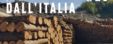 Pillole forestali dall’Italia #23 - Una spinta al legno locale e altre notizie di luglio