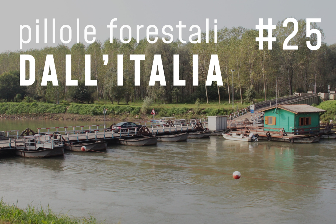 Pillole forestali dall’Italia #25 - Un fiume di conflitti e altre notizie di settembre