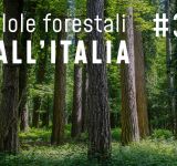 Pillole forestali dall’Italia #34 - Programmi, strategie, storia e altre notizie di marzo