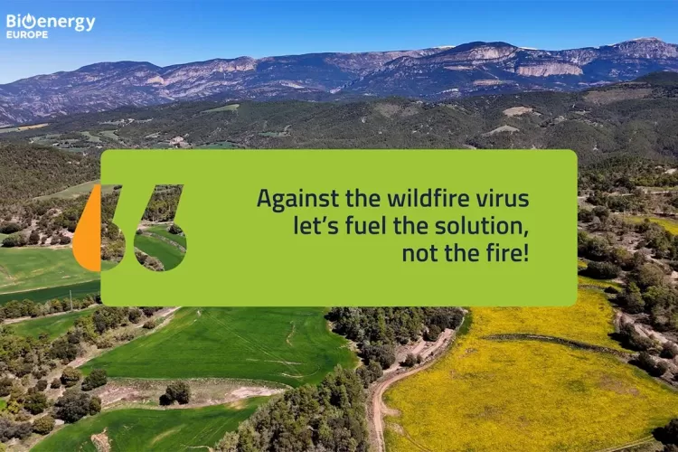 Fuel the solution, not the fire: tre nuovi video su prevenzione incendi e valorizzazione sostenibile delle biomasse