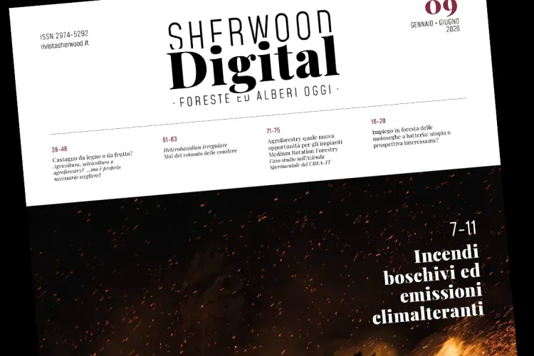 Sherwood digital n.9 - Gennaio-Giugno 2026