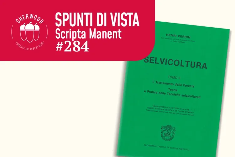 Giovanni Bernetti: perché la selvicoltura ha bisogno anche di “basi di meditazione”