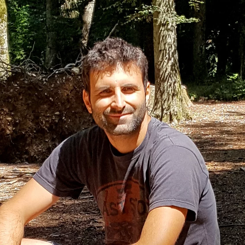 Massimo Negrin