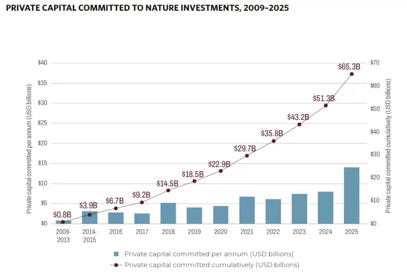 Istituzioni finanza privata